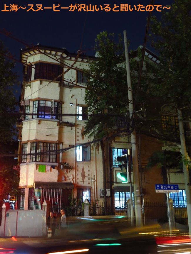 復興中路を間違えて西へ。