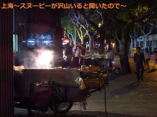 上海理工大学前には屋台が。とてもいいにおい〜