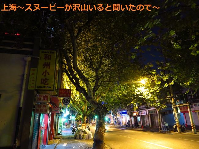 まだ間違えているのに気づかず、復興中路を西へ西へ。