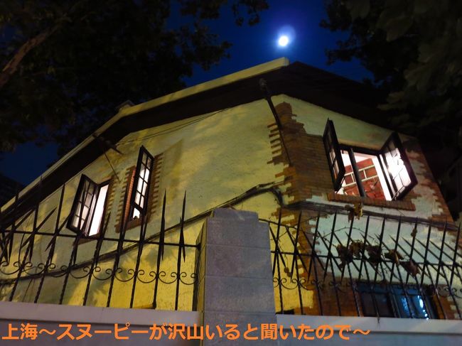 やっと気がつき、引き返しました。最終列車に間に合うために急いでいたのに、15分くらいのロス。