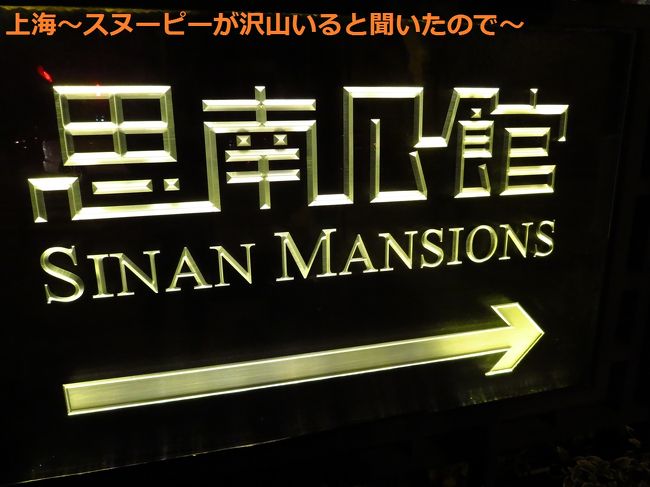 歩くスピードをかなり上げて、思南公館までやってきました。