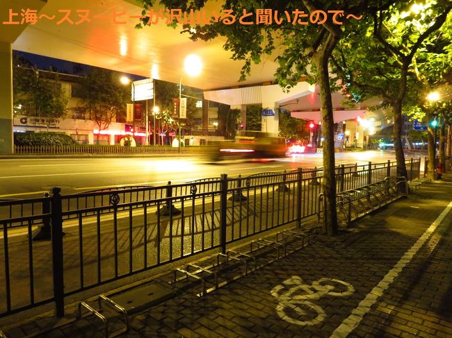 重慶南路に出ました。この通りを南下していきまーす。