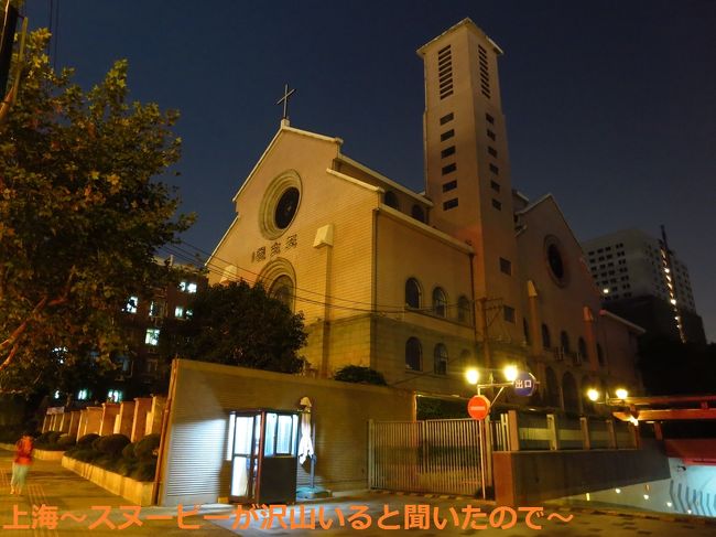 教会発見。