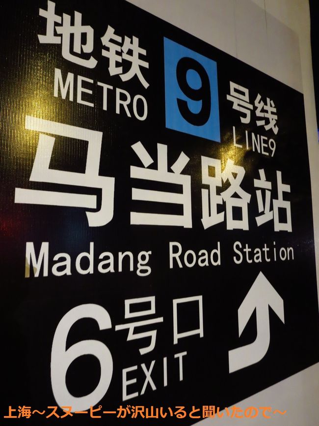 1時間半のお散歩終了〜<br /><br />もう10時過ぎちゃってます。<br /><br />帰りは9号線で帰宅。