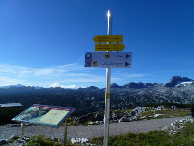 目指すはファイブフィンガー