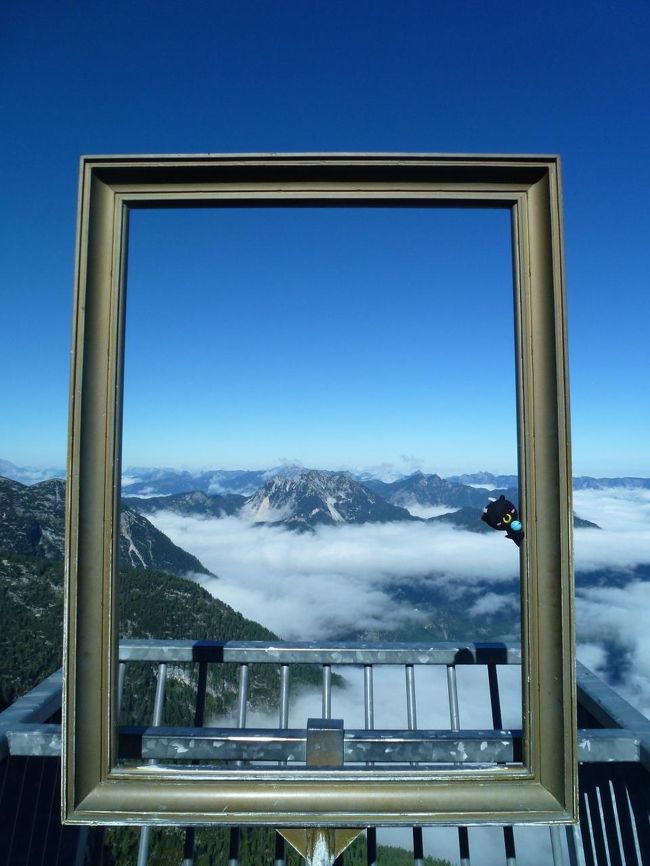 ここに入って写真を撮るっぽい