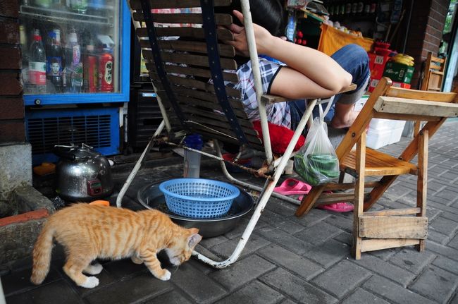 猫ちゃん発見。<br /><br />ご主人様はリラックス中。