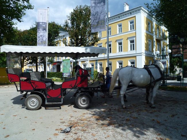 馬車で観光する人も。<br />京都で人力車に乗るって感じでしょうか。