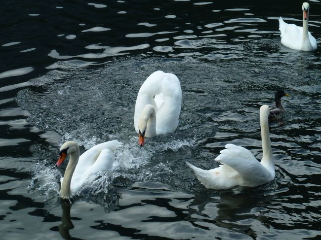 戻ってきました。