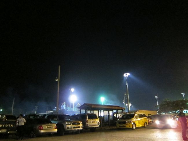 焼き鳥？やチキンライスのようなもの<br />あとはココナッツジュースなどなど<br />買い込んで、出口の方へ移動。