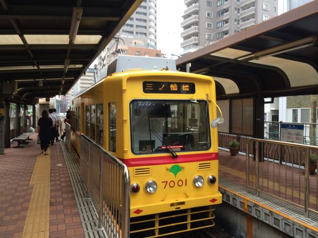 <br />　やっぱり、都電はいいです。