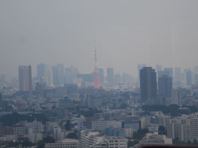 でも途中から外は大雨