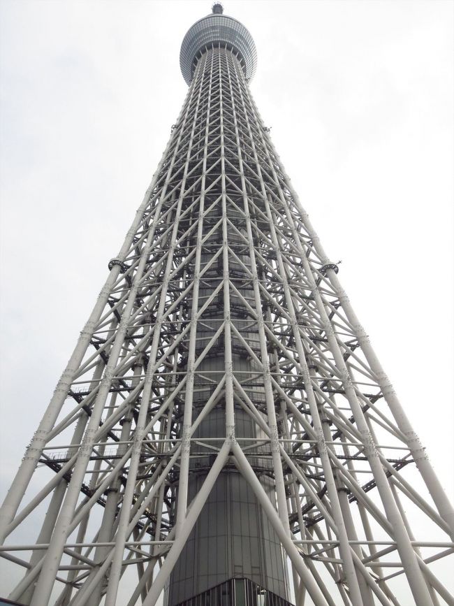 やってまいりました！