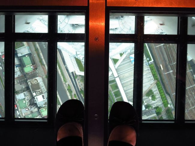 怖いけど、ガラス板の上を歩いてみました