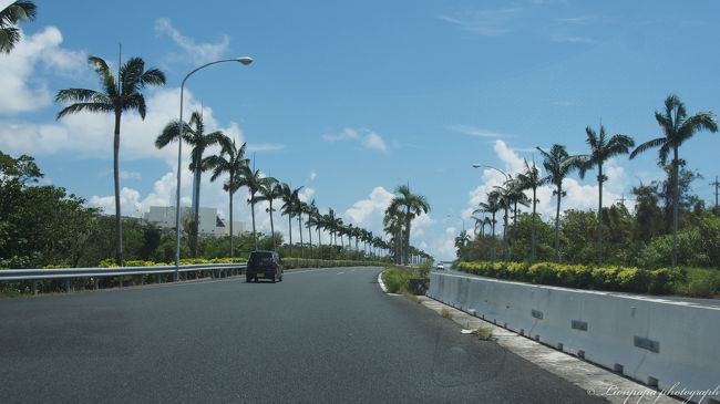 気を取り直して、レンタカーでGO!<br />しばらくすると助手席と後部座席みんな爆睡中ZZZ