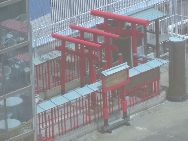 あ。鳥居発見です。