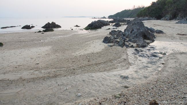 こんな所もあり。