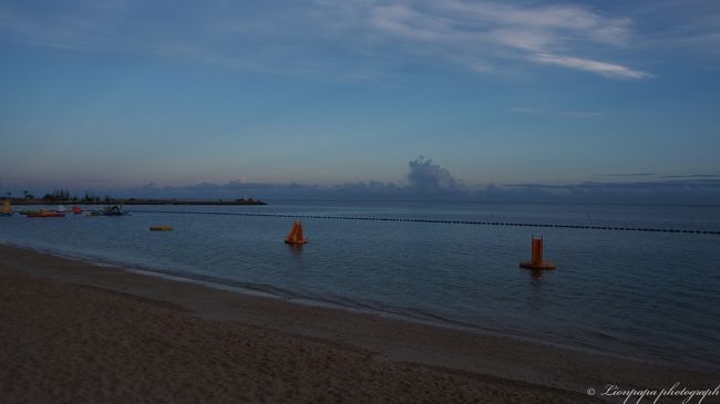 ３日目の朝。<br />今日はみんな早起きしたので、全員で散歩