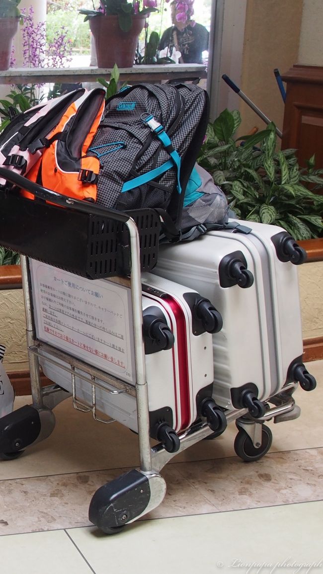 今日は那覇市内へ移動日。<br />荷物をまとめて、レンタカーで移動します。<br />目指すは、美ら海水族館