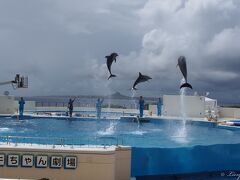 オキちゃん劇場
いわゆるイルカのショーです。
長男が３歳の頃、ここでココナッツの実のジュースを飲んだのを覚えてて、
また飲みたい、と言ってましたが、もう売ってませんでした。残念。