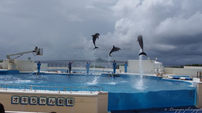 オキちゃん劇場<br />いわゆるイルカのショーです。<br />長男が３歳の頃、ここでココナッツの実のジュースを飲んだのを覚えてて、<br />また飲みたい、と言ってましたが、もう売ってませんでした。残念。
