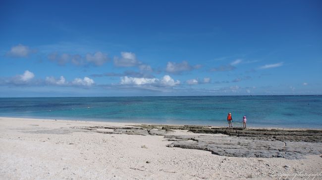 子供たちも感動！<br />すぐに海の方へ。