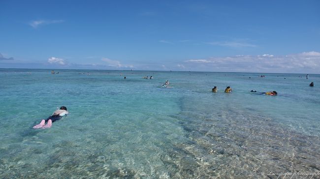 シュノーケリングをレンタルして<br />海の中を覗きに行きます。<br />ここは、ライフジャケットを付けないとシュノーケリングはできません。