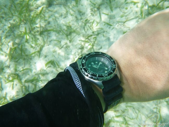 シュノーケリングしながら<br />ふと時計をみると。。。<br /><br />ああ、、、明日の今頃オレ仕事してるよ。。。<br /><br />と思いつつ。