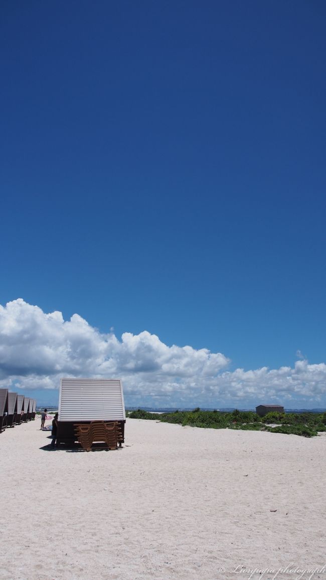 今年の沖縄良好も終わりです。<br />怪我もなく無事に帰ってきました。<br />沖縄最高！！！<br /><br />来年はどこに行く事になるのでしょう。