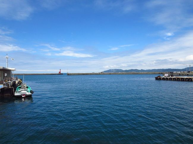 曇りの予想でしたが、割と晴れました。