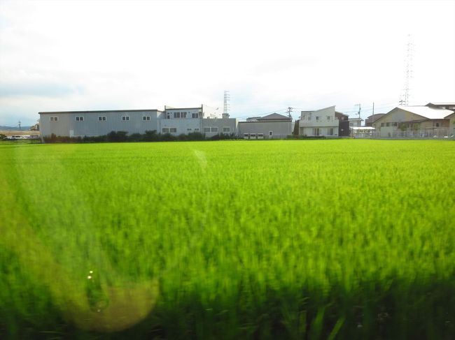 Ｔさんの実家ヘ。