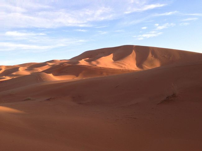 ようやく到着したサハラ砂漠（≧∇≦）ものすごく雄大な景色でした。見渡す限り、砂漠…ここに来られて本当に幸せ（≧∇≦）