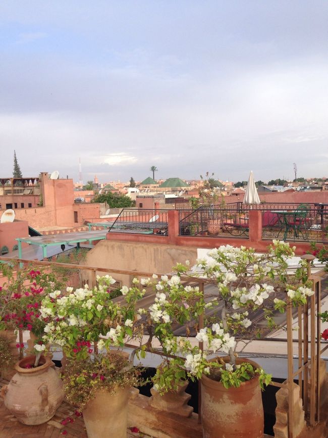 朝8時ジャストにリヤドにお迎えにきてくれました。砂漠ツアーの始まりです。