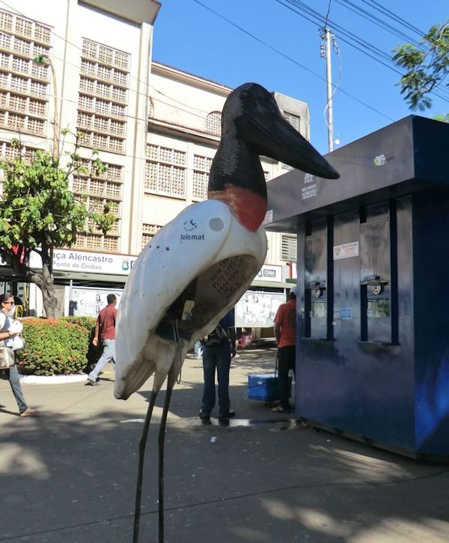 一夜明け、この日はお昼まで街中散策です。<br /><br />大きな街とは言えないので<br />そんなに急がず、お土産などを物色。<br /><br />これは街中の電話ボックス。<br />この後行く、パンタナールで見られる<br />他の動物バージョンもありました。<br />