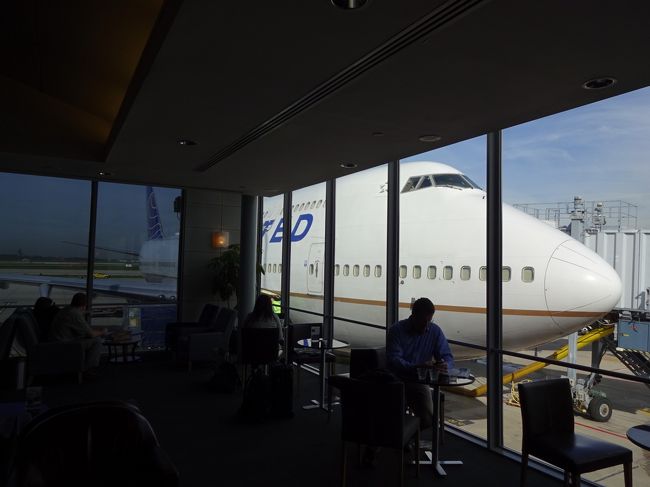 こんな間近で見られる場所は日本には無いんじゃないかな。