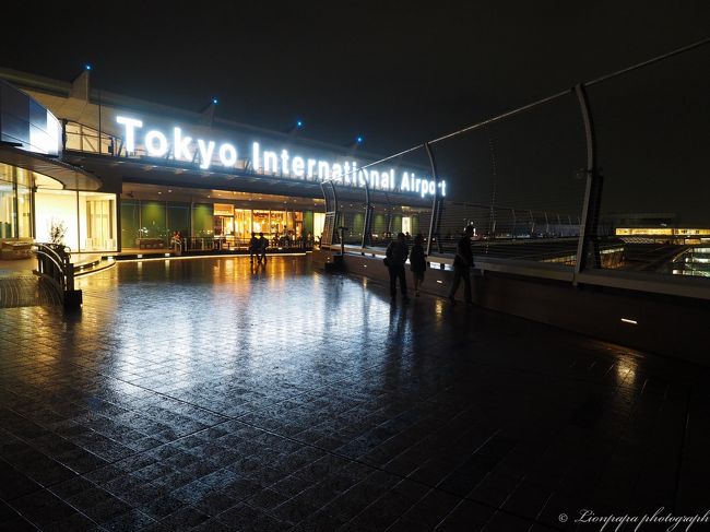 Tokyo International Airport<br />光が雨に反射してます。