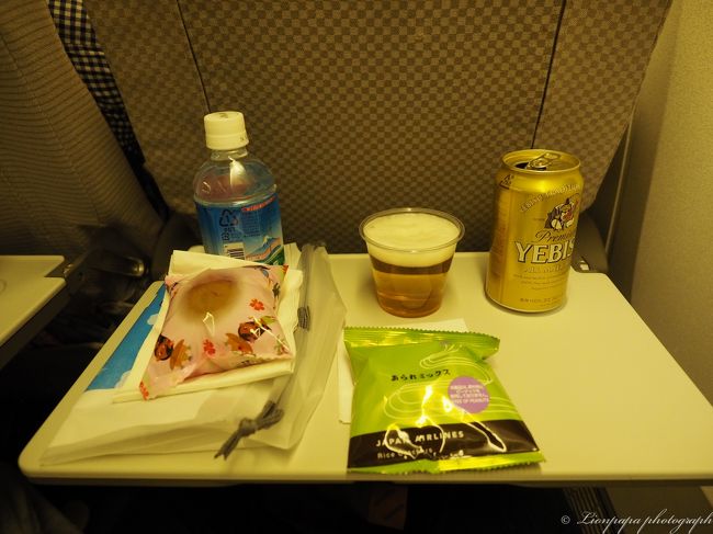 あれ！？機内食これだけ？<br />どうも深夜便は想像していたような機内食はでないみたいです。<br />人に任せっきりの今回の旅。調査不足。<br />ビールを飲んで寝ます。
