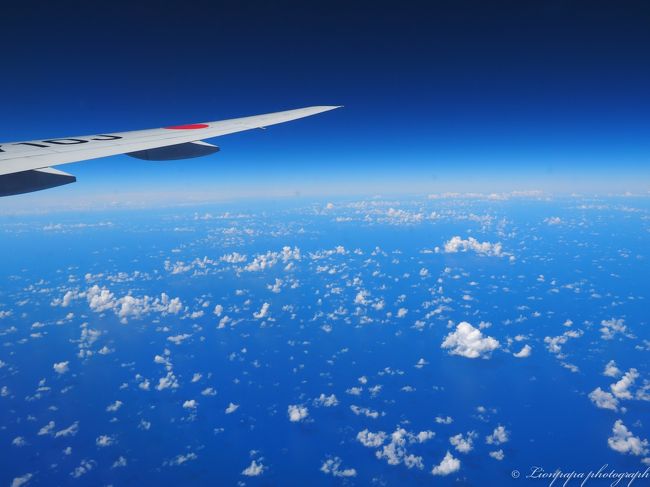 窓を開けるととっても明るい。<br />寝不足だけどテンション上がります。