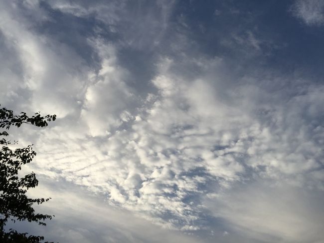 明後日からの台風が<br />気になるところですが…