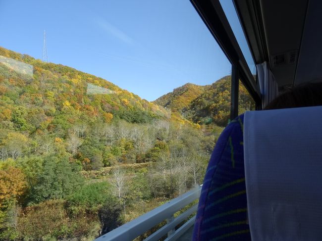 窓から見える景色は、紅葉の木々が美しい秋景色でした。<br />それを見るだけでも、価値があります。