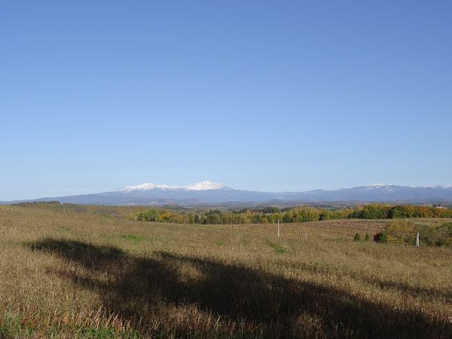 ノーマル自転車は大失敗。<br />丘を登るのに立ちこぎしていたら、喘息出そうになりました。<br />若い頃の感覚で無理すると駄目ですね。