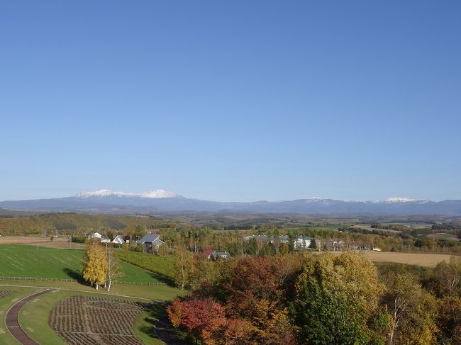 秋の美瑛は綺麗ですね。<br />がんばってきた甲斐があります！