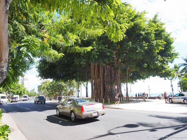 お腹一杯になり、このままホテルにいると寝てしまうのでワイキキ周辺を散歩です。<br />夜には人と会う事になっており、寝坊できません。<br />睡魔に襲われないように一生懸命歩きます。