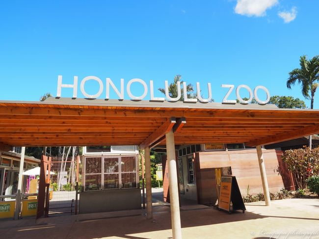 遠くにも行けないのでホテルの近くにある<br />HONOLULU ZOOへ。