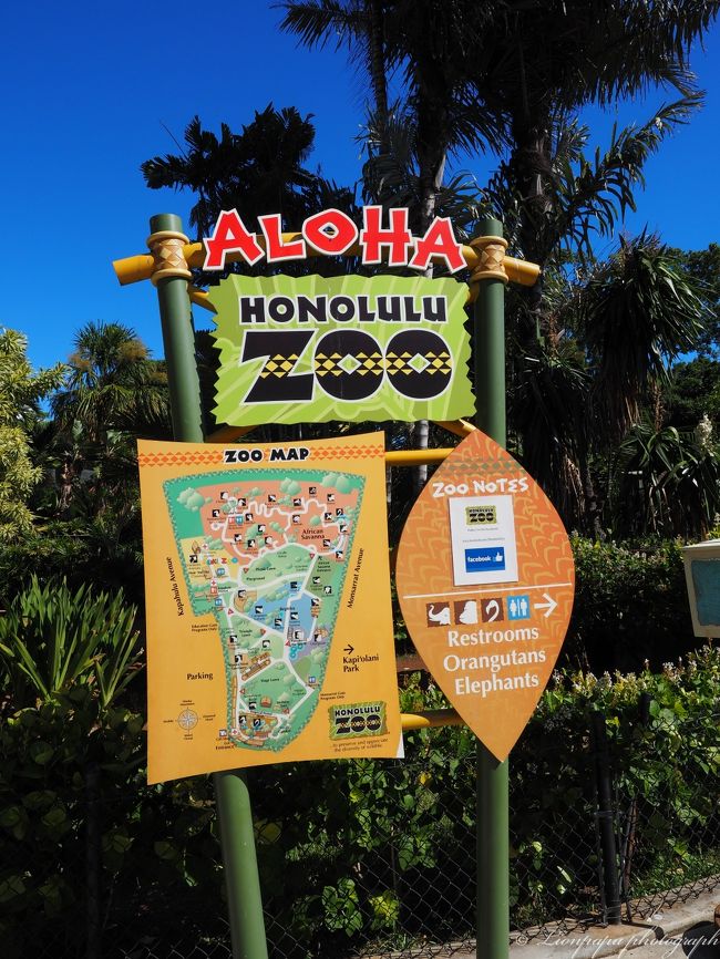 園内看板<br />思った以上に広かった。