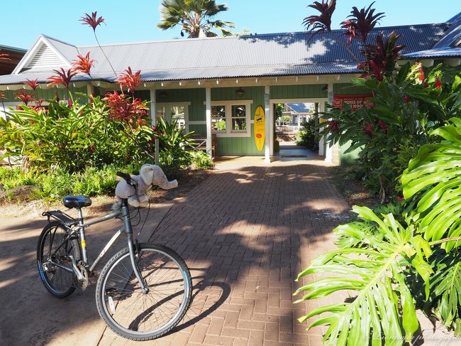 スタッフの自転車。<br />象のぬいぐるみが乗ってます。<br />