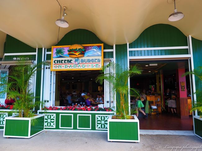 お昼はホテル近くのハンバーガーです。<br />チーズバーガー・イン・パラダイス