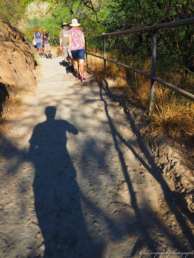 一人なので、とっとと登ります。<br />最初はこんな感じの道ですが、途中から石や岩がゴロゴロしてます。