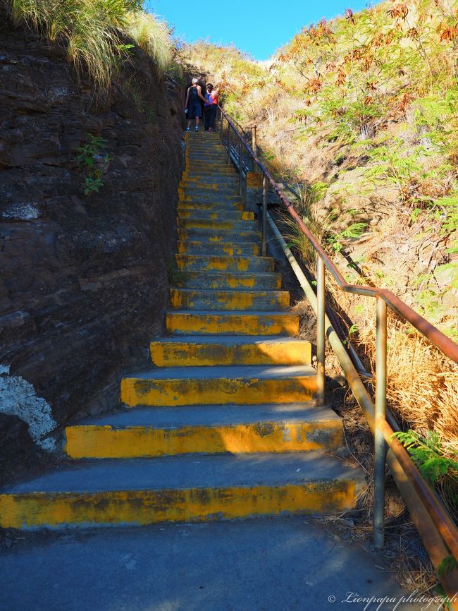 半分くらい登った所から階段が。