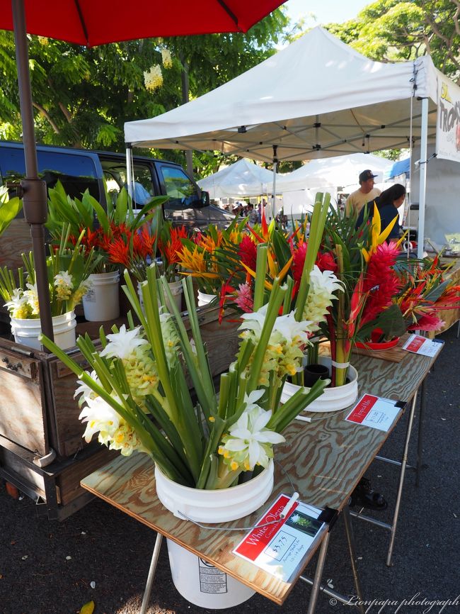 とくに目当てもなく散歩します。